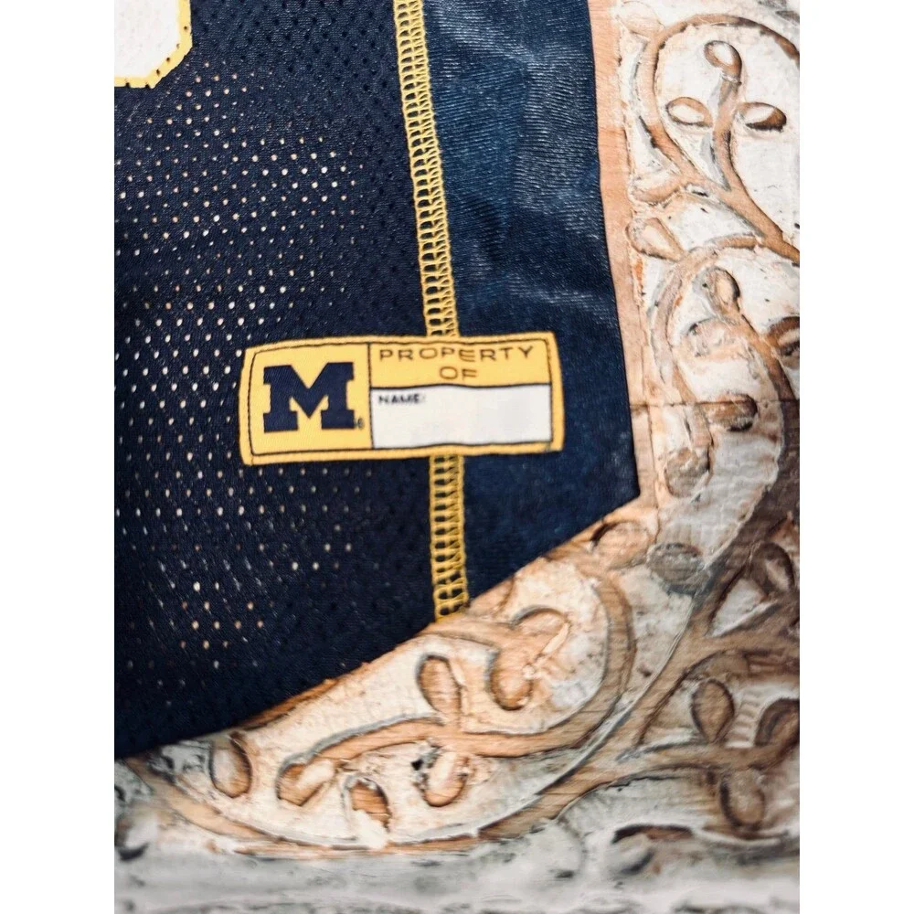Jersey Dog Shirt Michigan University